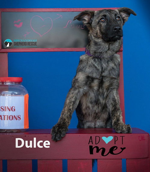 Dulce 1214