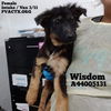 Fiona 1318