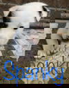 Spanky 1320