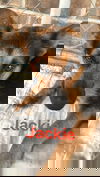 Jackie 1324