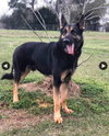 Rosco 1376