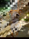 Jasper 1382