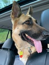 Kiley 1406