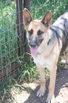 Kiley 1406