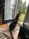 Kiley 1406