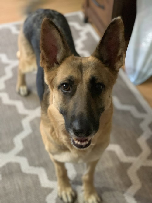 Kiley 1406