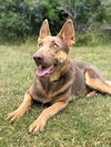 Kasey 1407