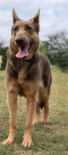 Kasey 1407