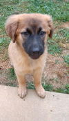 Ellie 1474
