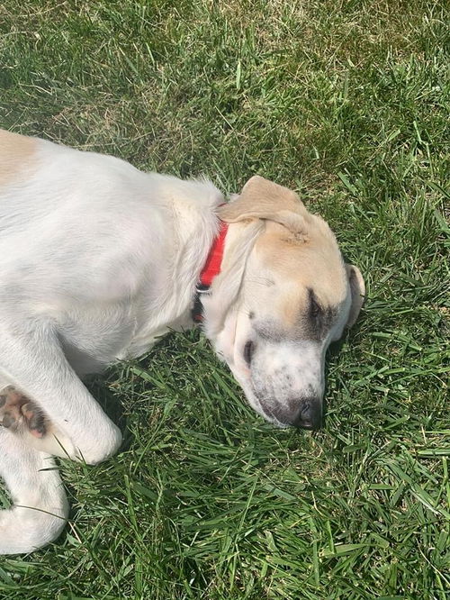 Sadie 1483