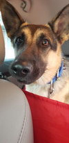Tobi 1488