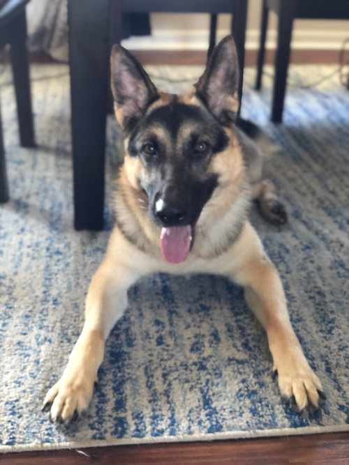 Tobi 1488