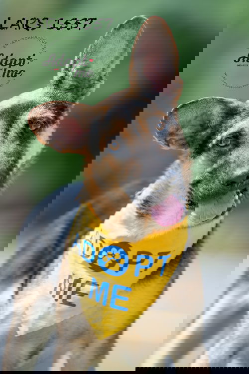 Lars 1557