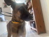 Jaxx 1616