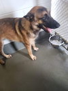 Jaxx 1616