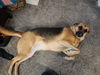 Lucy 1641