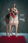 Ruby 1672