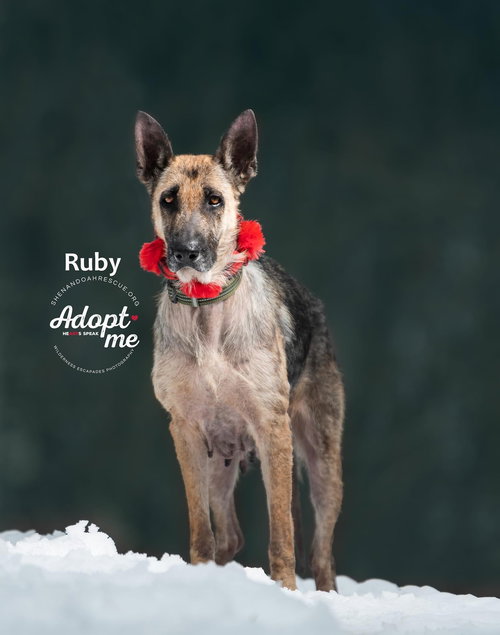 Ruby 1672