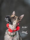 Ruby 1672