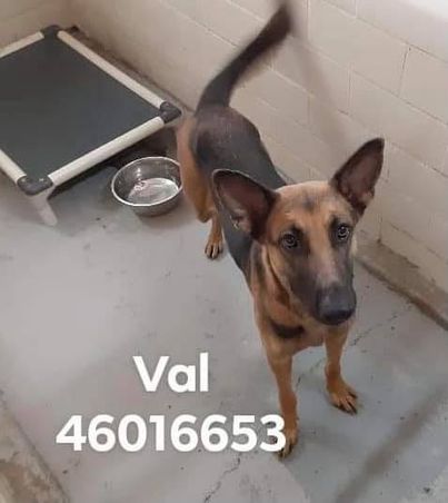 Val 1676