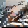 Val 1676