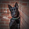 Ella 1751