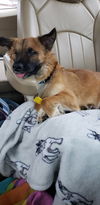 Benny 1773