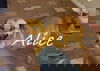 Alice 1868