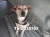 Tina 1940
