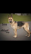 Isla 1975