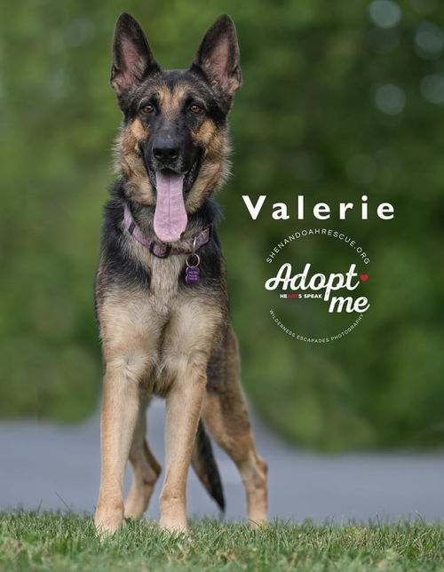 Valerie 2016