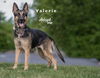 Valerie 2016