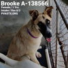 Brooke 2076