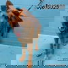 Wally 2094