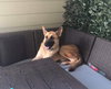 Simba 2112