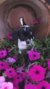 Buster 2122