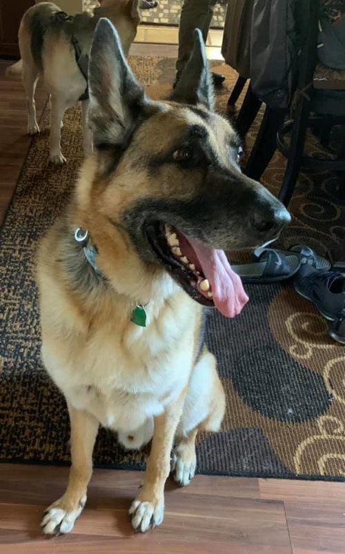 Tiller 2129