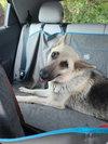 Tilly 2132