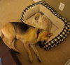 Tilly 2132