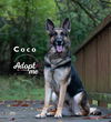Coco 2210