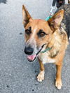 Ellie May 2219