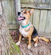 Ellie May 2219