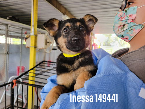 Inessa 2389