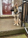 Abbie 2559
