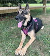 Zira 2578