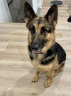 Zira 2578