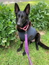 Zoey 2579