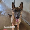Garner 2628