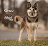 Kanzo 2682
