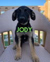 Jody 2695